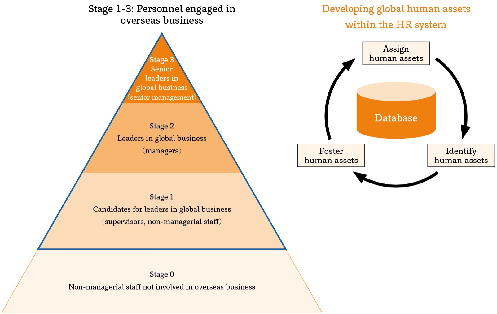 Structure for Fostering Global Human Assets