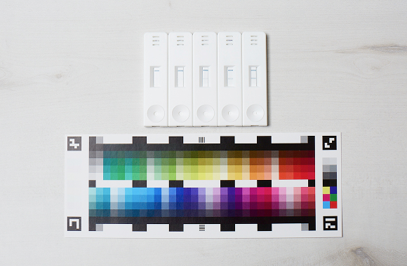 写真：ラテラルフローアッセイ