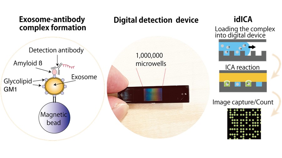 Figure 1: Immuno-digital invasive cleavage assay (idICA) of exosomes