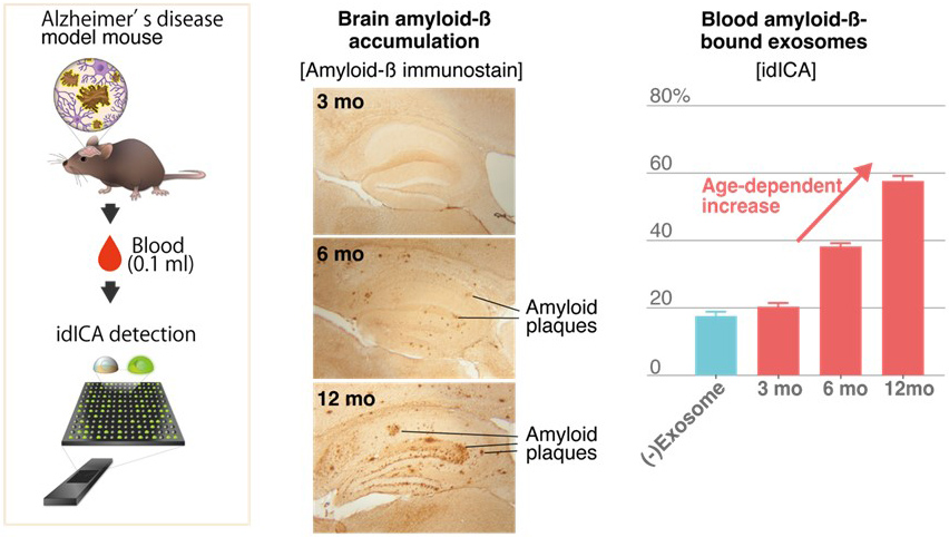 Figure 2: Blood exosome measurement in mice