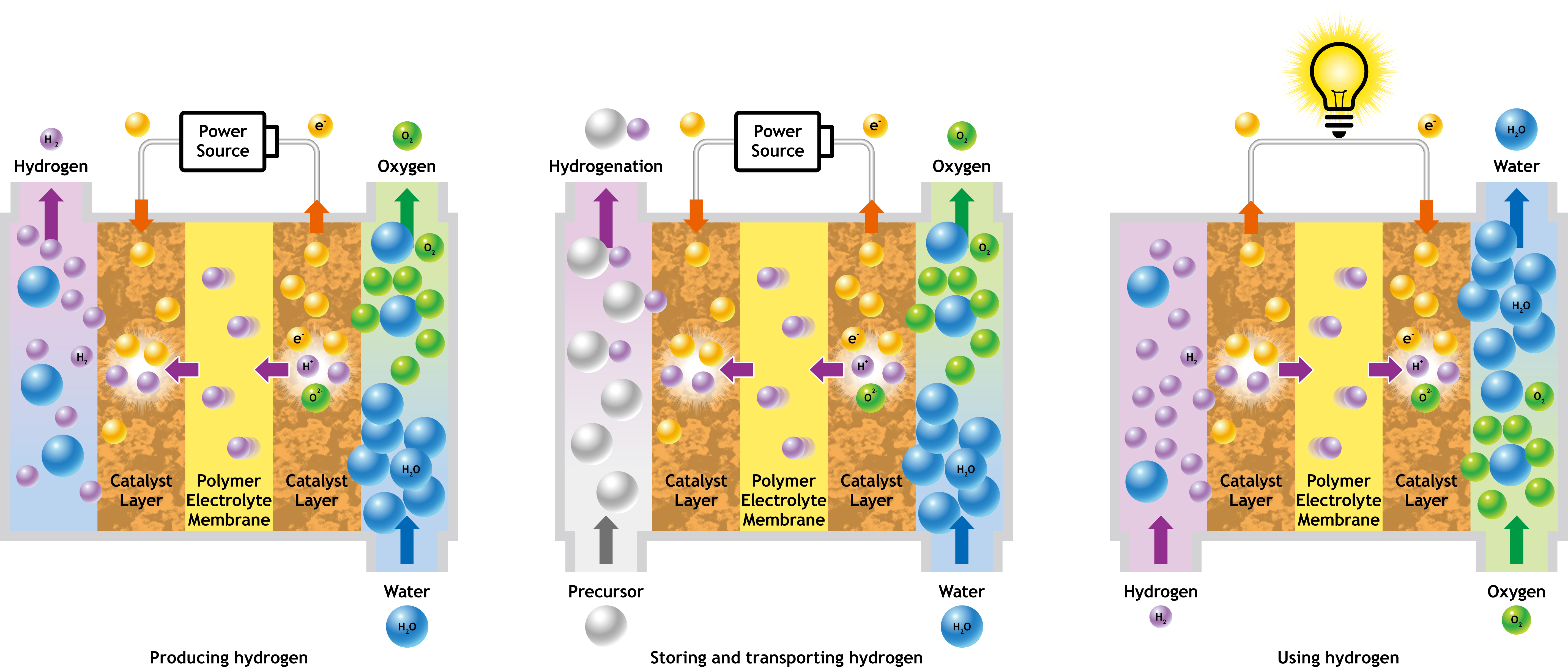 Images of producing hydrogen, storing and transporting hydrogen, and using hydrogen © TOPPAN INC.