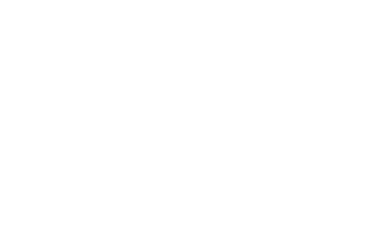 VIRTUAL HUMAN LAB