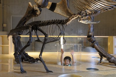 ティラノサウルス幼体のVRデータを３Dプリンターで出力した全身骨格を国立科学博物館「コンパス」にて展示