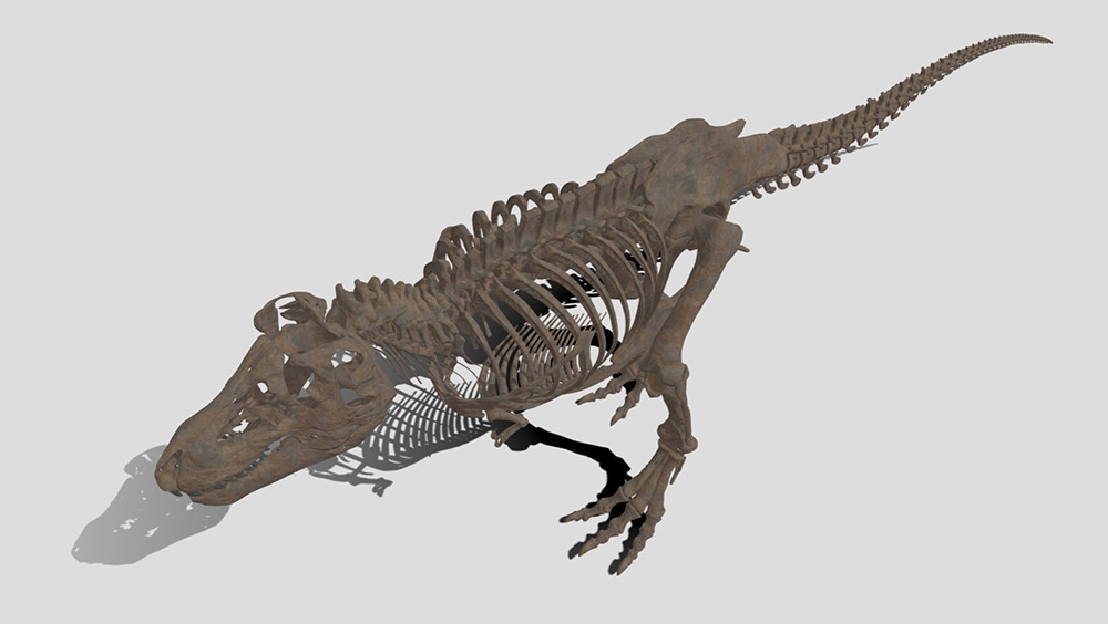 『V×Rダイナソー®』よりティラノサウルスの骨格化石