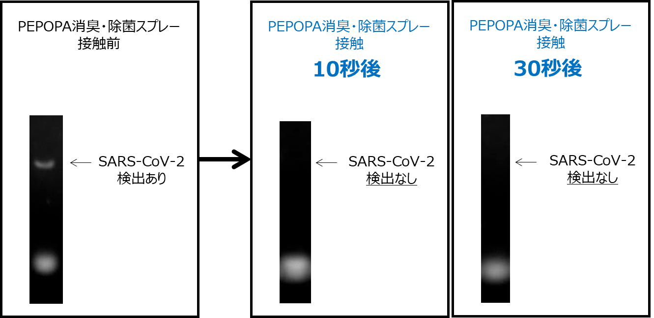 図1: 環境中の新型コロナウイルス(SARS-CoV-2)によるPCR検査の結果