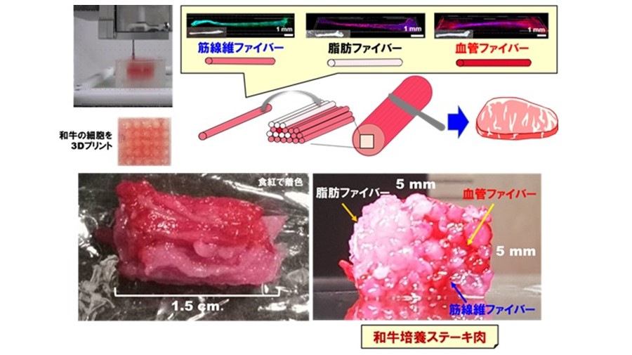 3Dプリントによる「独自組織造形技術」による和牛培養肉と作製プロセスのイメージ図