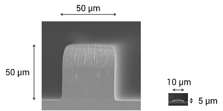 開発したマイクロ流路用構造体（左）と液晶用 カラーフィルタの構造体（右）の比較　© TOPPAN INC.