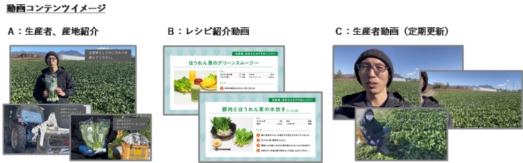 デジタルサイネージとスマートフォンアプリケーションにおける情報提供のイメージ©TOPPAN INC. (上)スマホ特設サイトイメージ、(下)動画コンテンツイメージ)