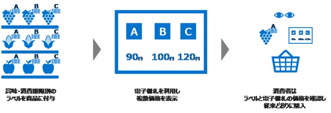 実証実験②の実証イメージ