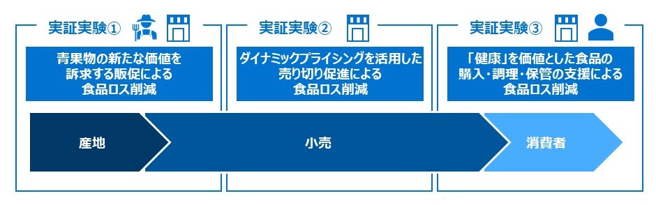 実証実験の概要