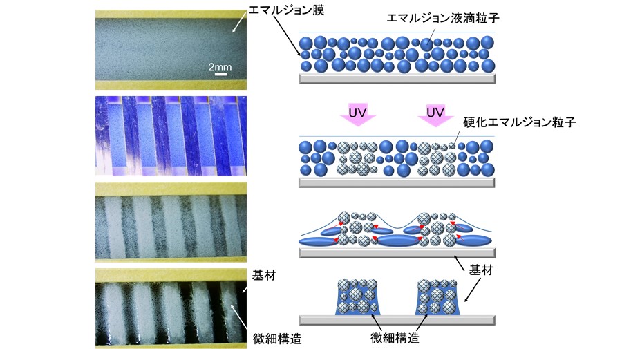 独自のパターニング法「ET法」 左:パターン形成過程、右：パターン形成プロセス原理のイメージ図 ©TOPPAN INC.