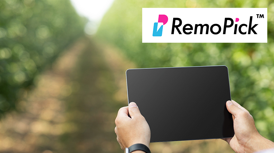 遠隔コミュニケーションサービス「RemoPick™」　