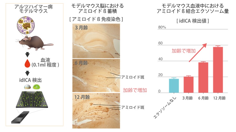 マウスの血液エクソソーム計測（図2）