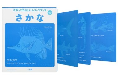 第55回造本装幀コンクール 文部科学大臣賞&日本印刷産業連合会会長賞