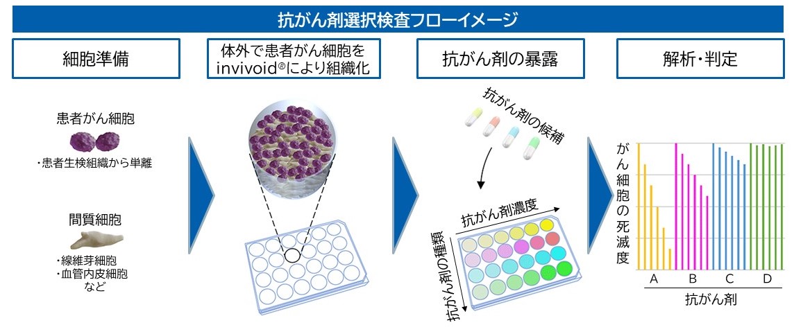 「invivoid®」による、抗がん剤選択検査フロー