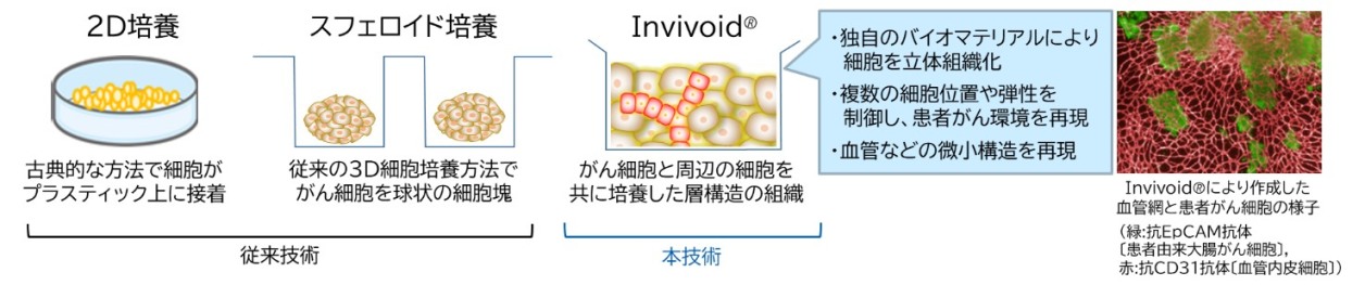 従来技術と「invivoid®」の特徴について