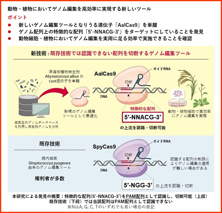 ポイント