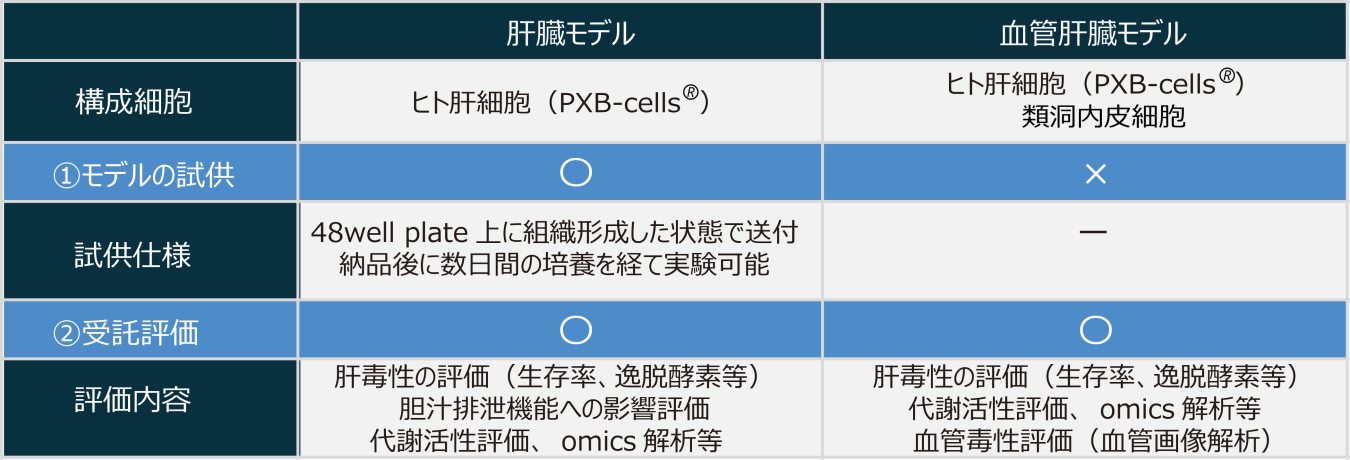 試供内容