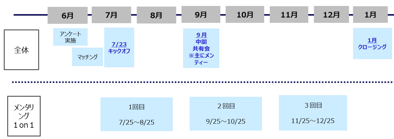 実施期間