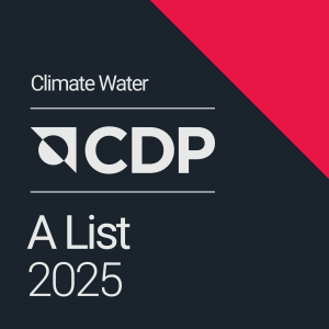 CDP 2025