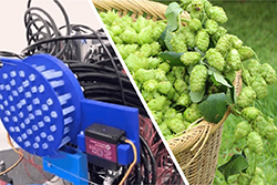 『“クラフト”香りの空気砲』 （キリンビール×TOPPAN）