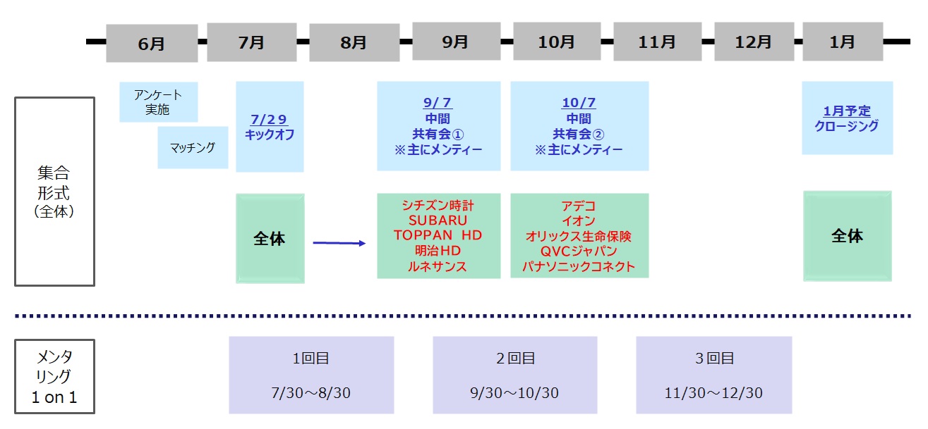 実施スケジュール