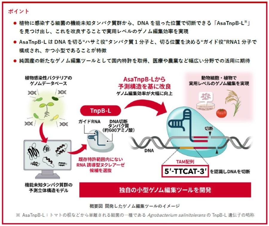 ポイント