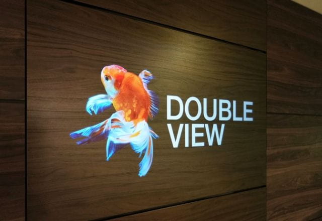 DoubleView