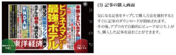 (3) 記事の購入画面