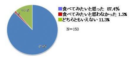 13.画像4