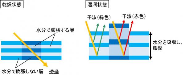 09.画像2
