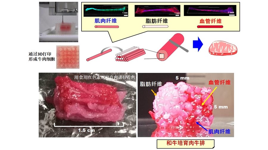 通过3D打印“独创组织造形技术”制作和牛培育肉及其工艺流程示意图